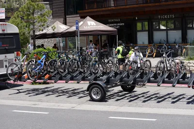 DSC_3154 (Large).JPG